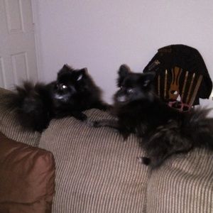 Meet your Posher, Laura